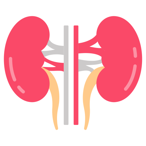 kidney